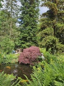 Genug Schatten auch an hei�en Tagen unter den eigenen B�umen Gro�z�giges Zwei- bis Dreifamilienhaus mit enormem Potenzial und XL-Grundst�ck in Tiefenbronn