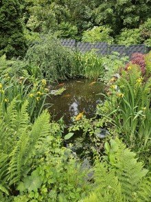 Herrlicher Naturteich Gro�z�giges Zwei- bis Dreifamilienhaus mit enormem Potenzial und XL-Grundst�ck in Tiefenbronn