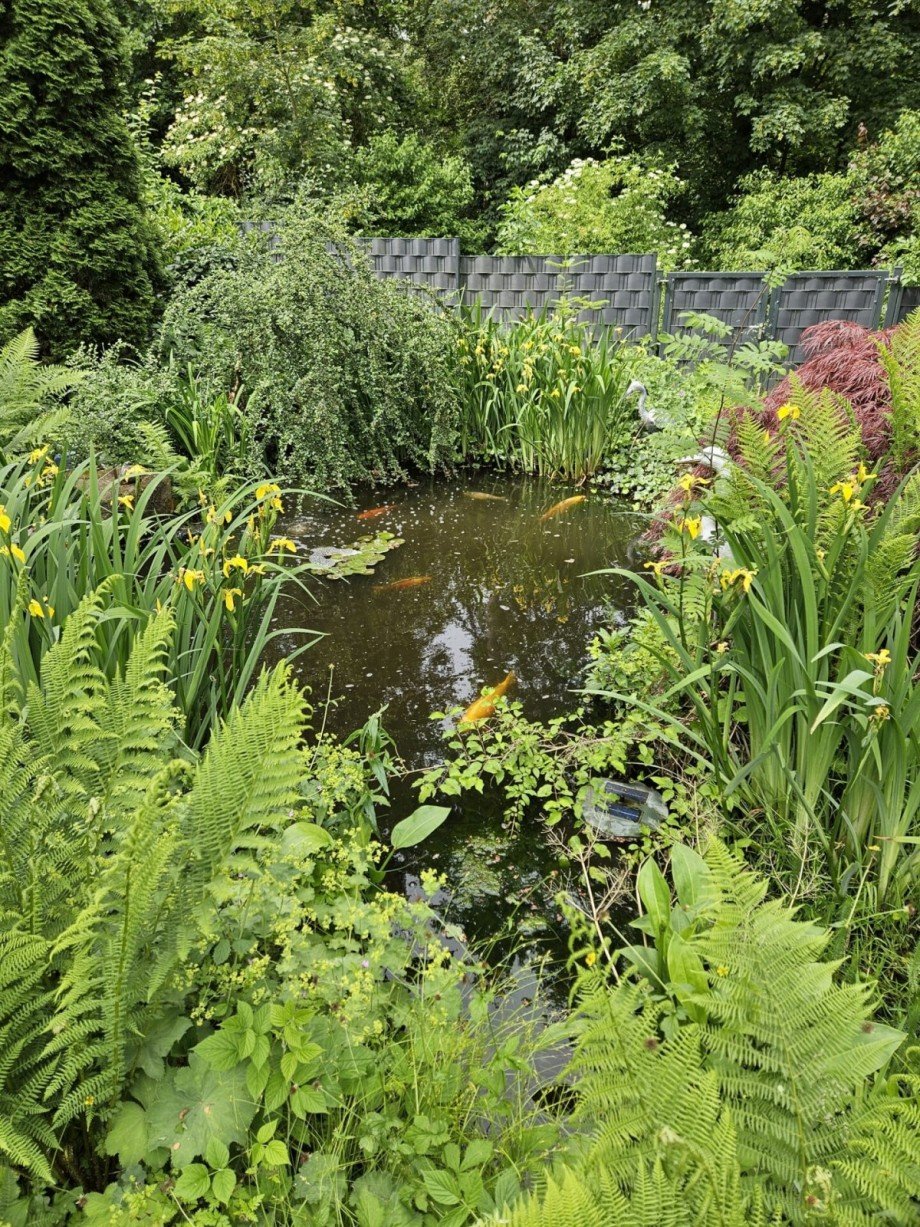 Herrlicher Naturteich Zweifamilienhaus Tiefenbronn