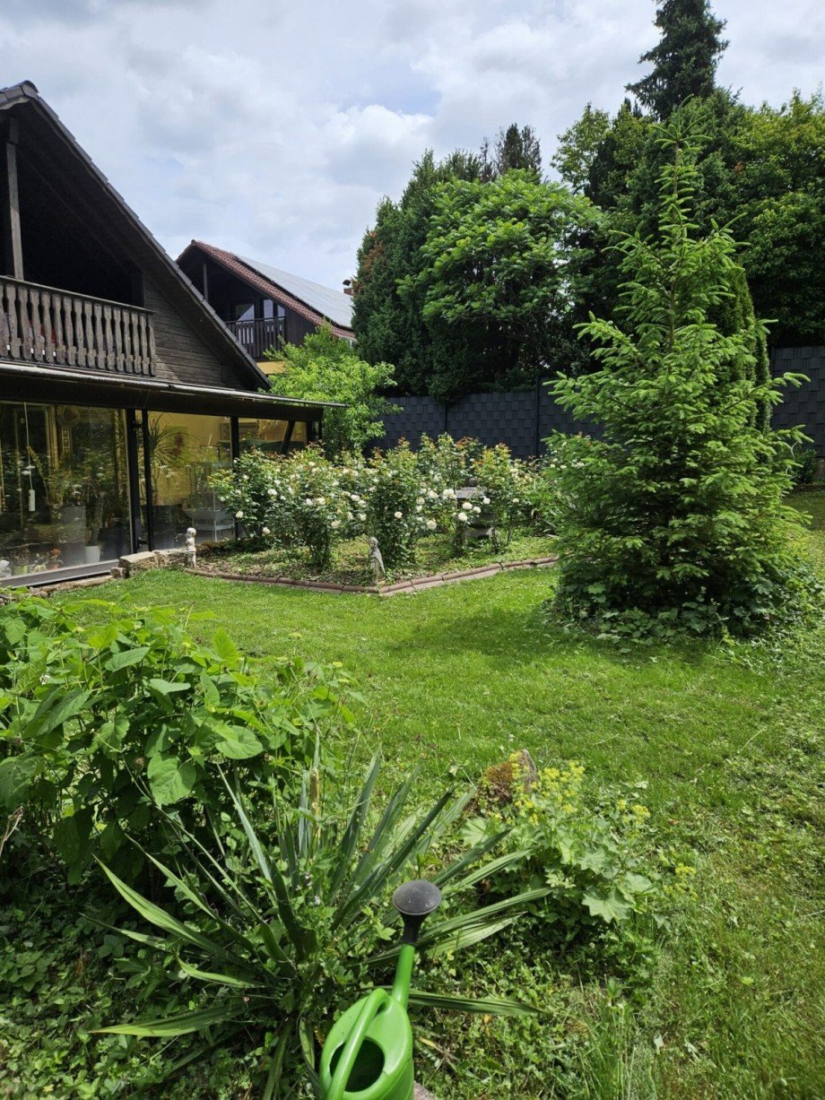 Aussicht vom Wintergarten ins Rosenparadies Zweifamilienhaus Tiefenbronn